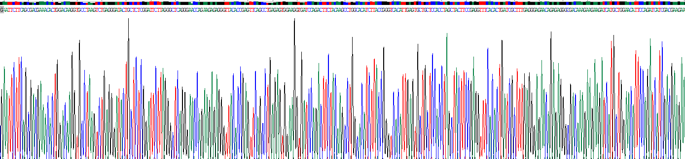 Recombinant Spondin 1 (SPON1)