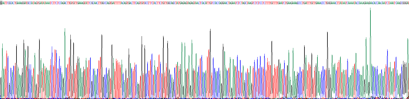 Recombinant Kinesin Family, Member 14 (KIF14)