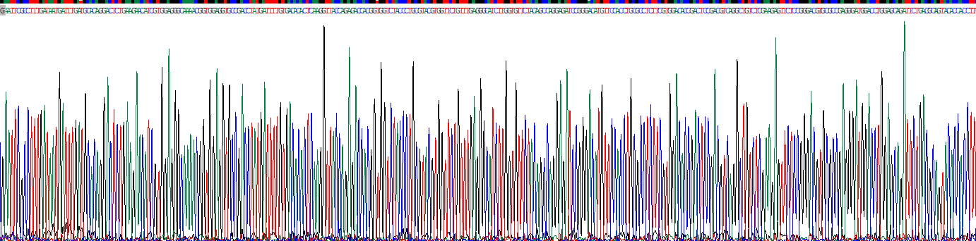 Recombinant Uridine Cytidine Kinase 1 (UCK1)