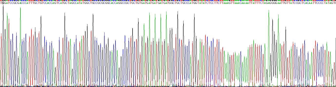 Recombinant Melanocortin 5 Receptor (MC5R)