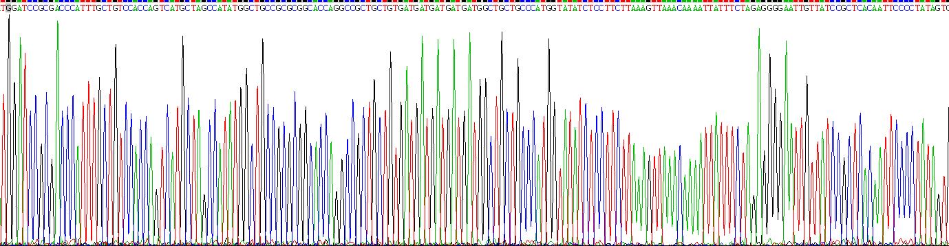 Recombinant Melanocortin 5 Receptor (MC5R)