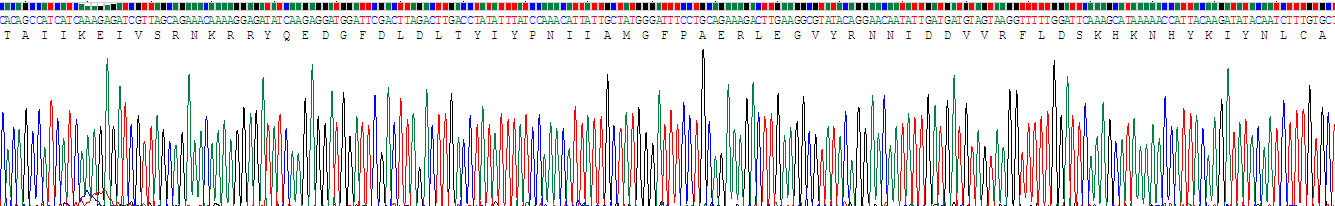 Recombinant Phosphatase And Tensin Homolog (PTEN)