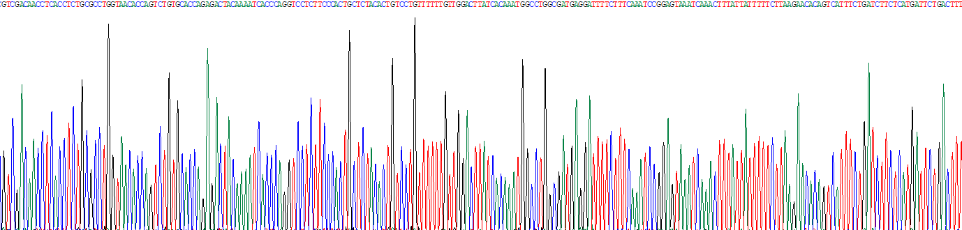 Recombinant Purinergic Receptor P2Y, G Protein Coupled 12 (P2RY12)