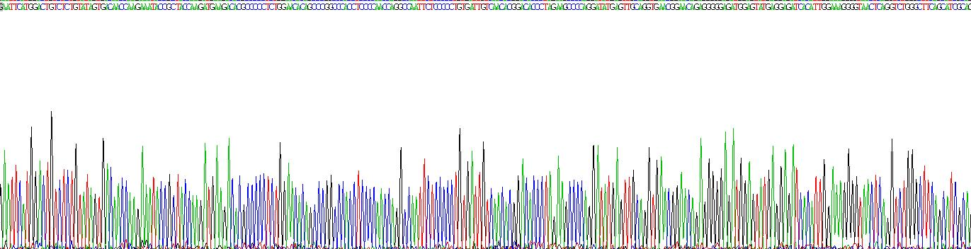 Recombinant Discs, Large Homolog 4 (DLG4)