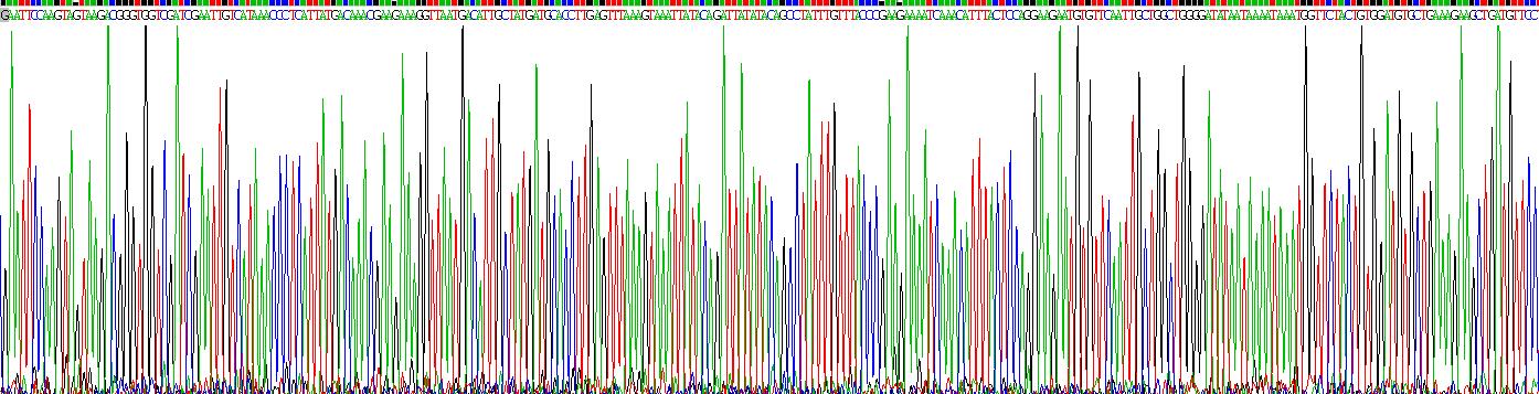 Recombinant Enterokinase (ENTK)