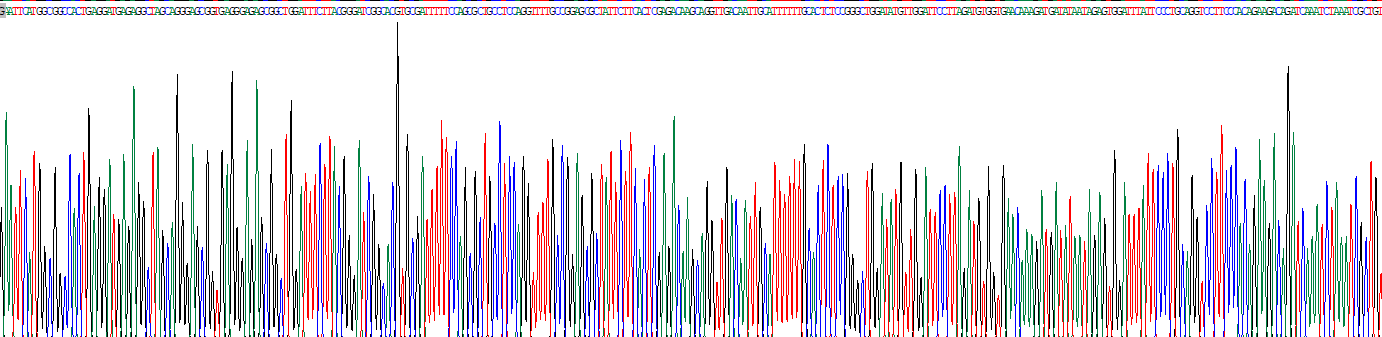 Recombinant Protein Geranylgeranyltransferase Type I Beta (PGGT1b)