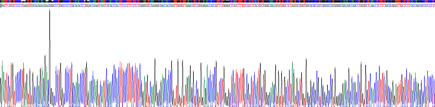Recombinant Free Fatty Acid Receptor 4 (FFAR4)