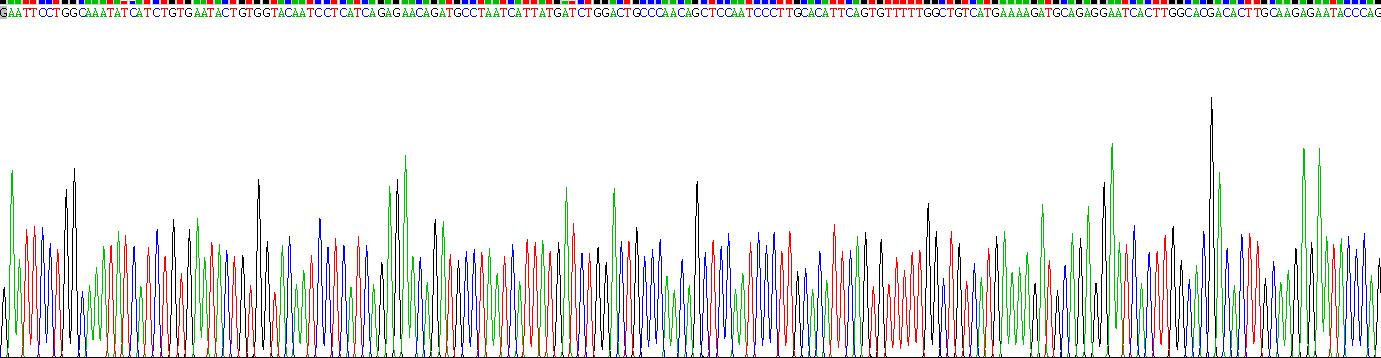 Recombinant TNF Receptor Associated Factor 6 (TRAF6)