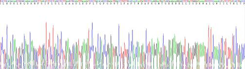 Recombinant Periostin (POSTN)