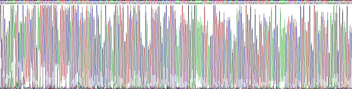 Recombinant Oncomodulin (OCM)