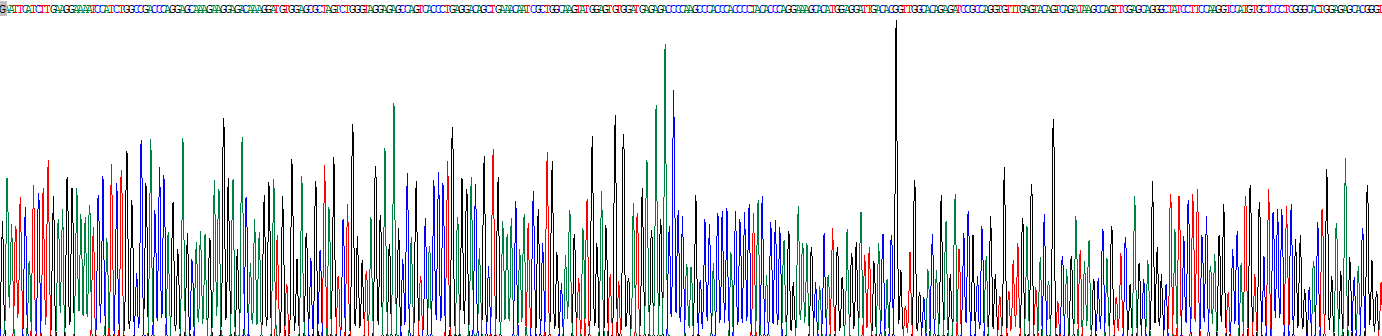 Recombinant Myocilin (MYOC)