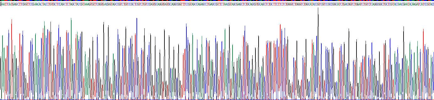Recombinant Internexin Neuronal Intermediate Filament Protein Alpha (INa)