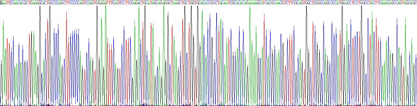 Recombinant Eosinophil Peroxidase (EPX)