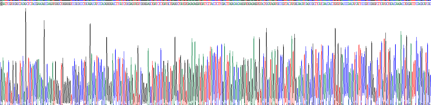 Recombinant Euchromatic Histone Lysine-N-Methyltransferase 2 (EHMT2)