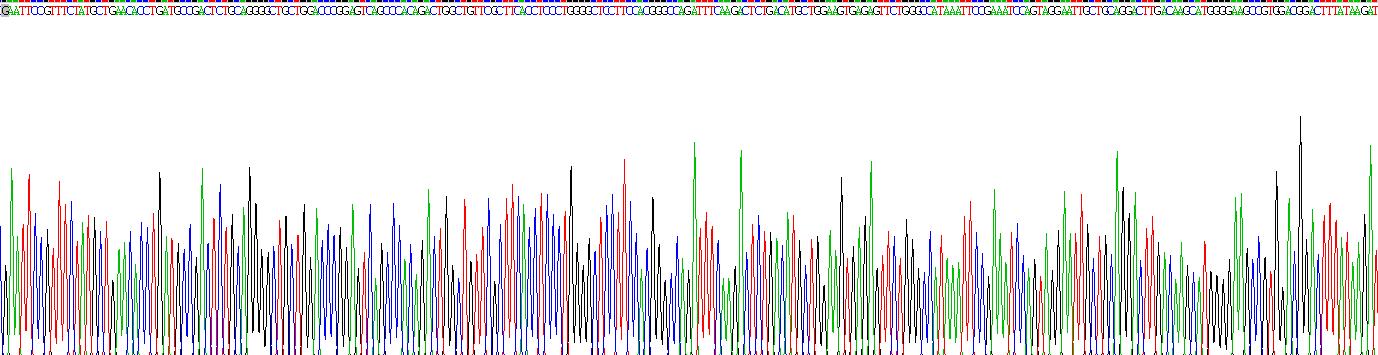 Recombinant Dihydroorotate Dehydrogenase (DHODH)