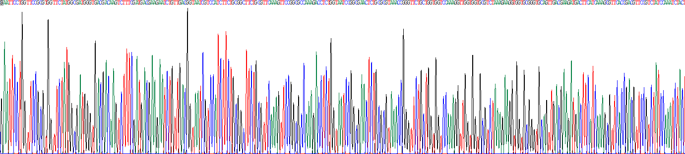 Recombinant Cytoplasmic Linker Associated Protein 2 (CLASP2)