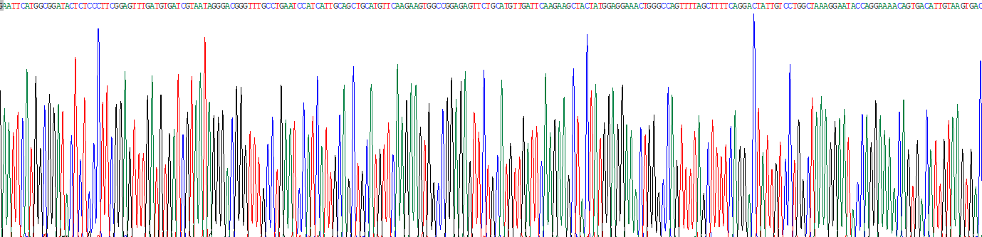 Recombinant Choroideremia (CHM)