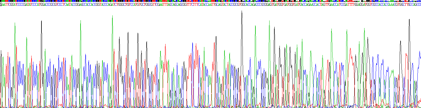 Recombinant Translocator Protein (TSPO)