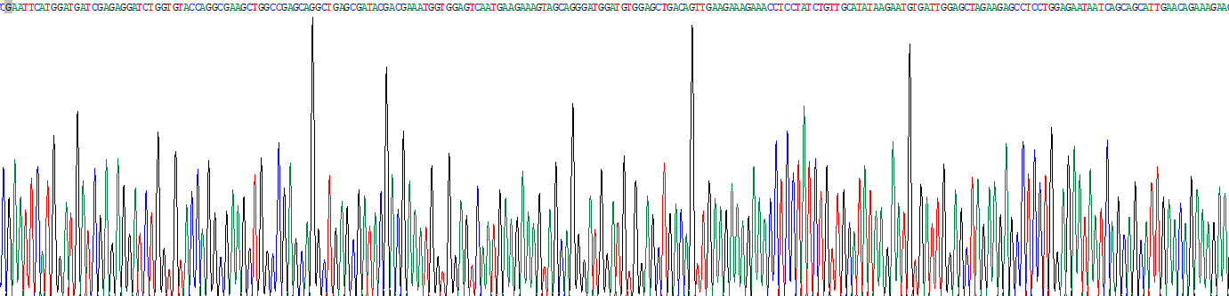 Recombinant Tyrosine 3/Tryptophan 5 Monooxygenase Activation Protein Epsilon (YWHAe)