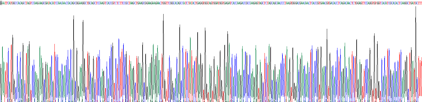 Recombinant WW Domain Containing E3 Ubiquitin Protein Ligase 1 (WWP1)