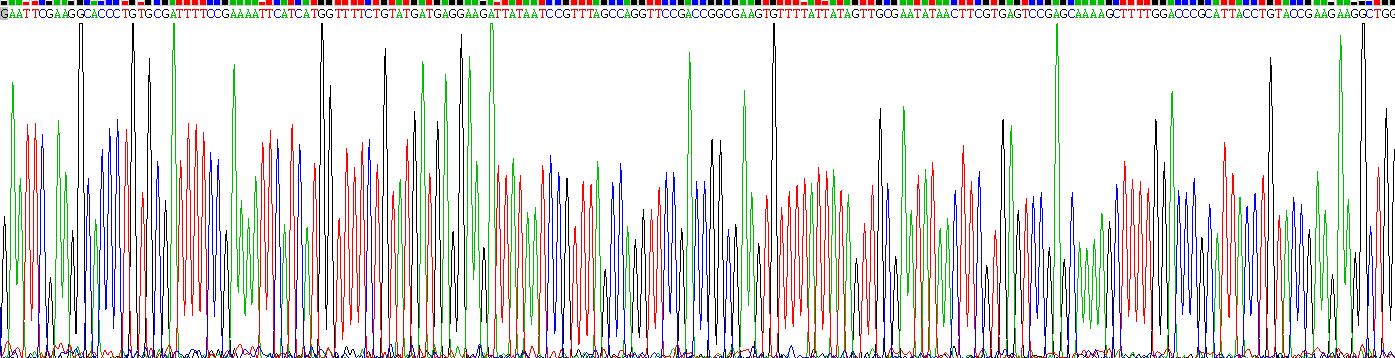 Recombinant Complement Factor H Related Protein 5 (CFHR5)