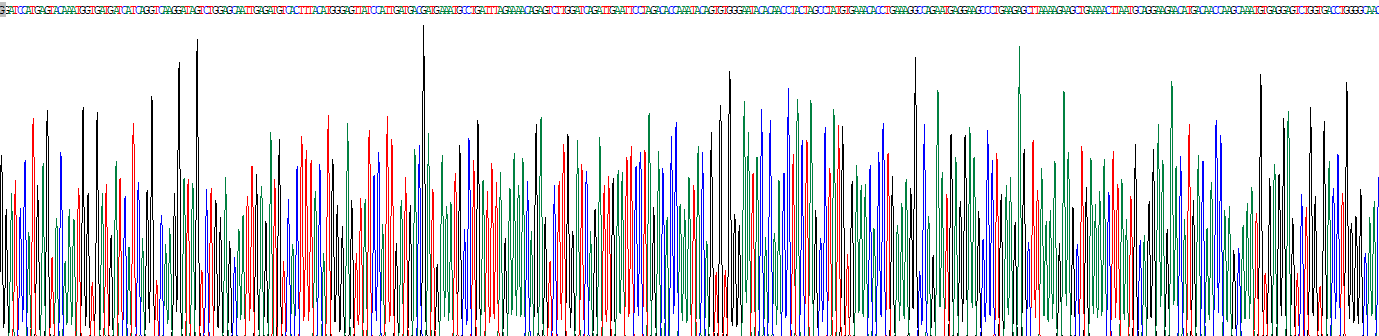 Recombinant Interferon Induced Protein With Tetratricopeptide Repeats 1 (IFIT1)