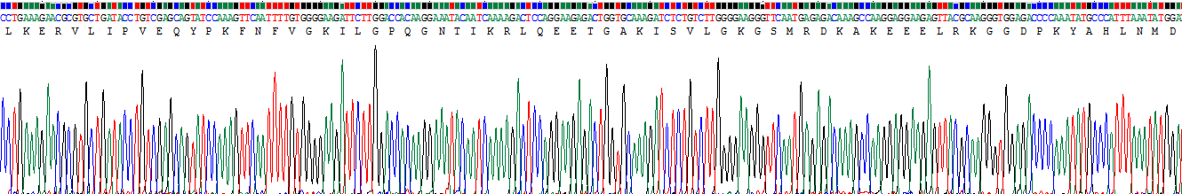 Recombinant KH Domain Containing, RNA Binding, Signal Transduction Associated Protein 1 (KHDRBS1)