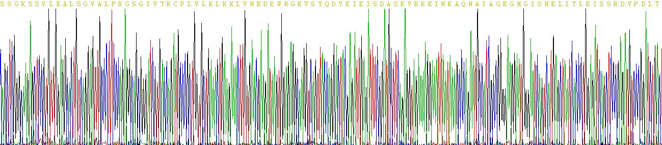 Recombinant Myxovirus Resistance 1 (MX1)