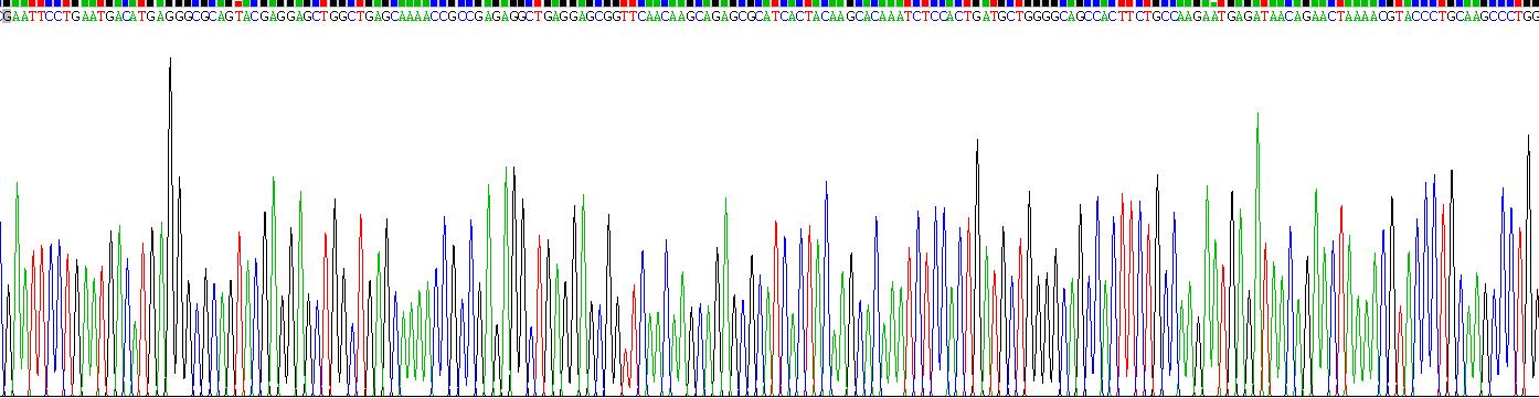 Recombinant Keratin 24 (KRT24)