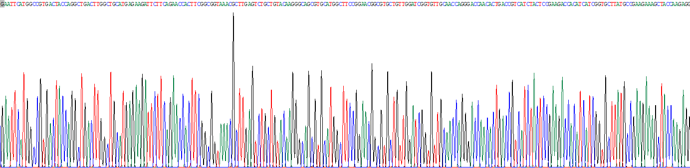 Recombinant Interferon Induced Protein 44 (IFI44)