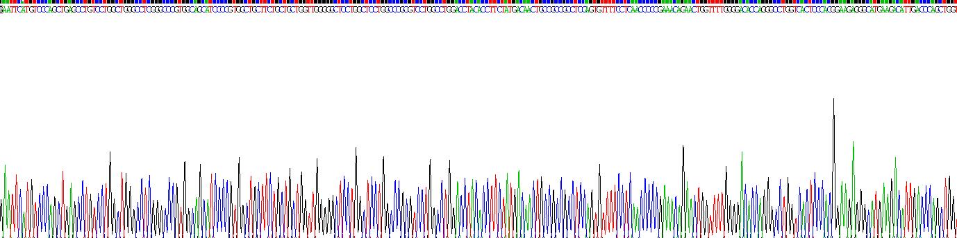Recombinant Cytochrome P450 4F11 (CYP4F11)