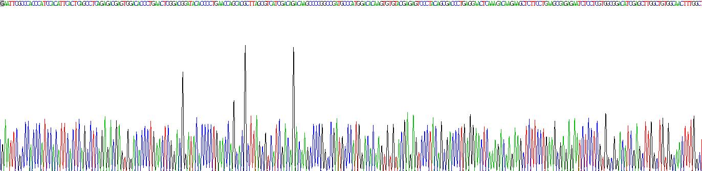 Recombinant Zeta Chain Associated Protein Kinase 70kDa (zAP70)