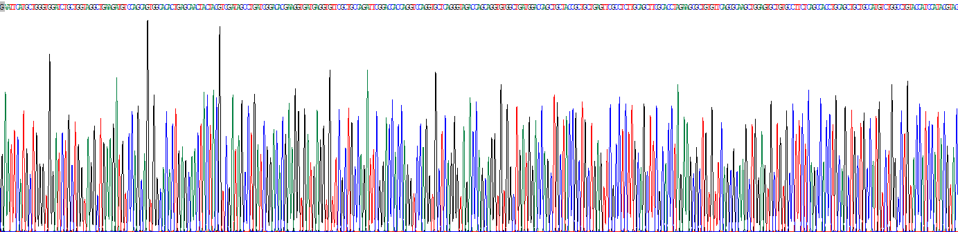 Recombinant Homeobox Protein D9 (HOXD9)