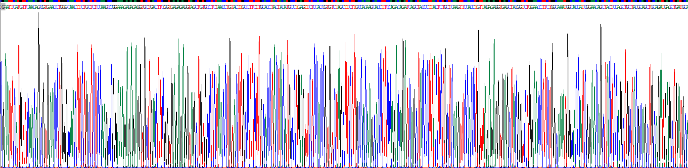 Recombinant Homeobox Protein C11 (HOXC11)