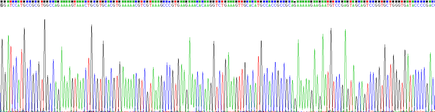 Recombinant Melanoma Antigen Family B1 (MAGEB1)