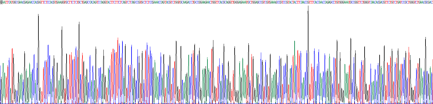 Recombinant Phosphorylated Carboxy Terminal Domain Interacting Factor 1 (PCIF1)