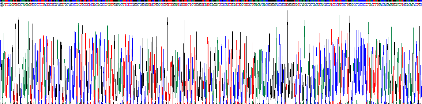 Recombinant Cysteine/Tyrosine Rich Protein 1 (CYYR1)