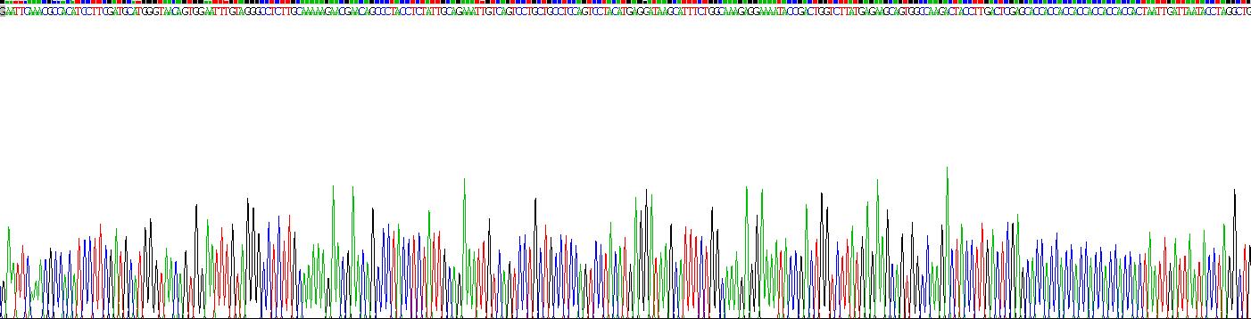 Recombinant Defensin Beta 119 (DEFb119)