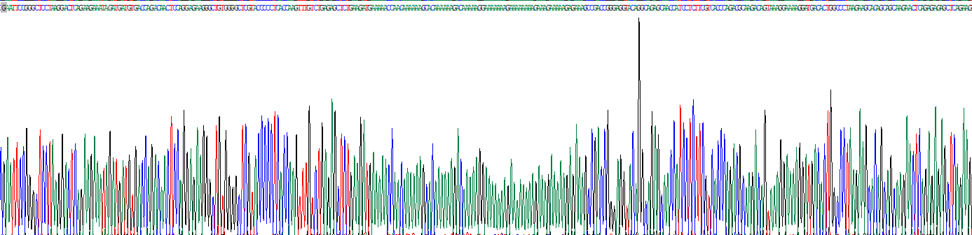 Recombinant RNA Binding Motif Protein, X-Linked 2 (RBMX2)