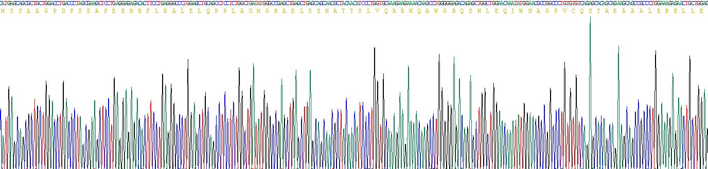 Recombinant YjeF N-Terminal Domain Containing Protein 3 (YJEFN3)