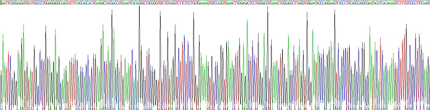 Recombinant Zymogen Granule Protein 16 Homolog B (ZG16B)