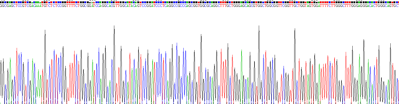 Recombinant Keratin 28 (KRT28)