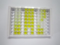 ELISA Kit for Interferon Alpha (IFNa)