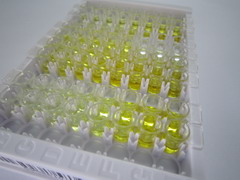 ELISA Kit for Fibronectin (FN)