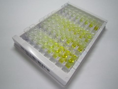 ELISA Kit for Interleukin 1 Receptor Type II (IL1R2)