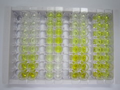 ELISA Kit for Matrix Metalloproteinase 3 (MMP3)