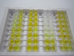 ELISA Kit for Pepsinogen C (PGC)