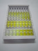 ELISA Kit for Heat Shock Protein 47 (HSP47)