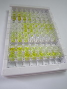 ELISA Kit for Galectin 7 (GAL7)