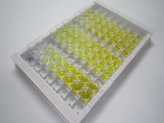 ELISA Kit for Vascular Cell Adhesion Molecule 1 (VCAM1)